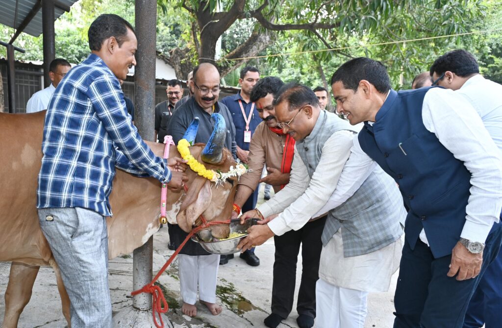 मुख्यमंत्री  विष्णु देव साय ने गोवर्धन पूजा के अवसर पर की गौ वंश की पूजा-अर्चना