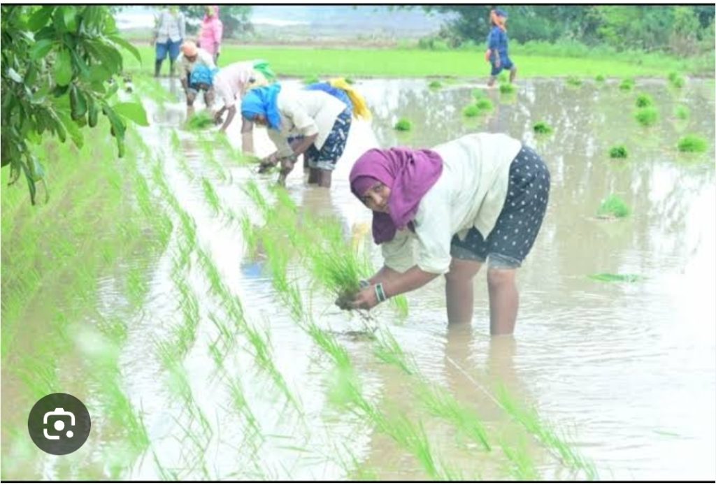 Screenshot_20250910-191023_Google