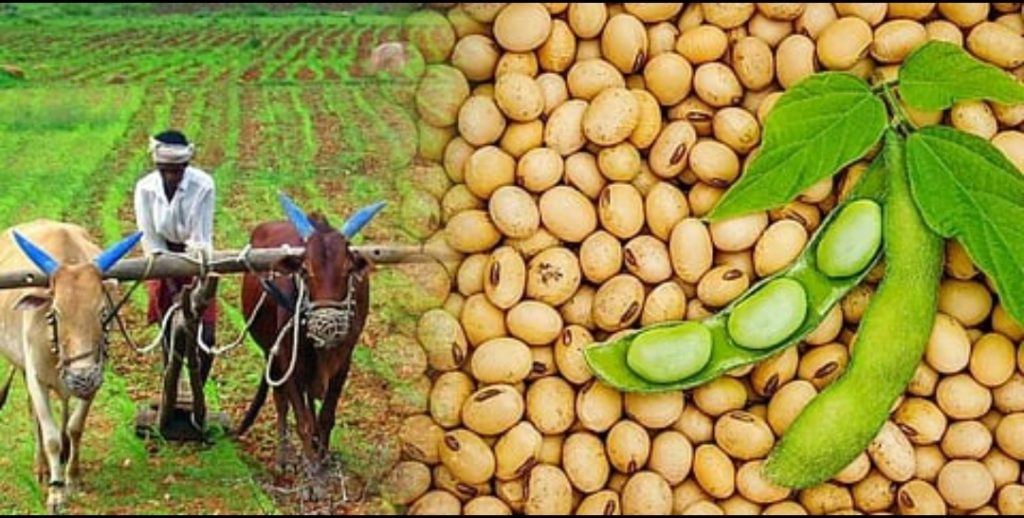 Screenshot_20251130-111307_Gmail