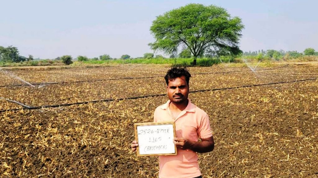 सब्जी उत्पादन के क्षेत्र में छत्तीसगढ़ अग्रसर