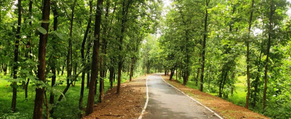 विशेष लेख:पीएमजीएसवाई से बदला विकास का भूगोल एमसीबी जिले में