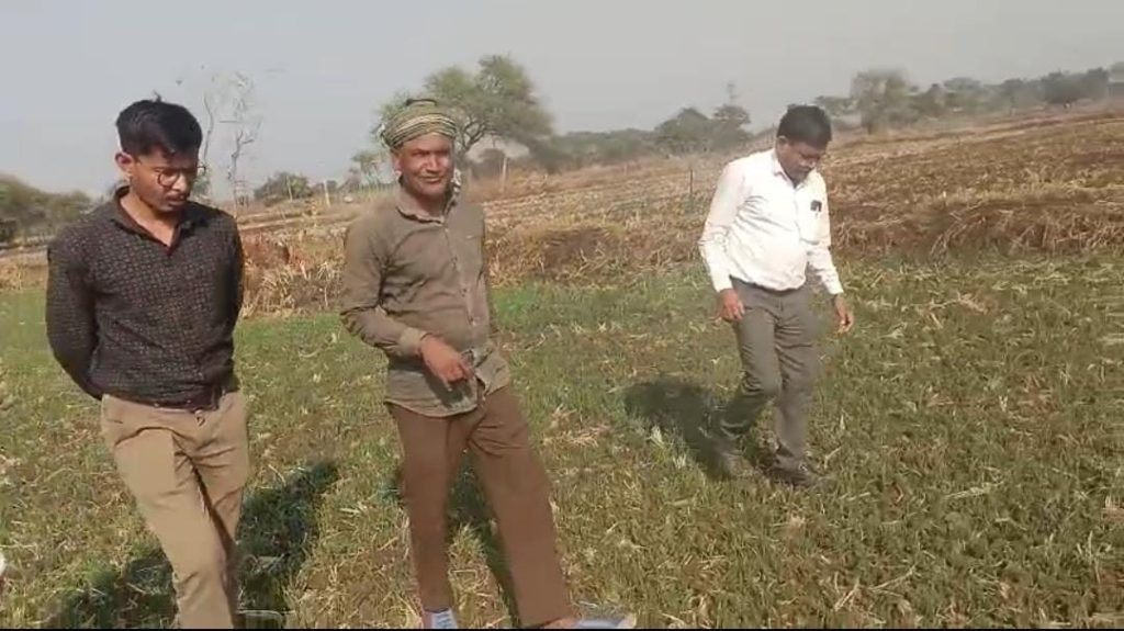 धान से हटकर समृद्धि की राह: जेवरा के किसान दिलीप सिन्हा ने दलहन-तिलहन से कमाए 25 लाख रुपये