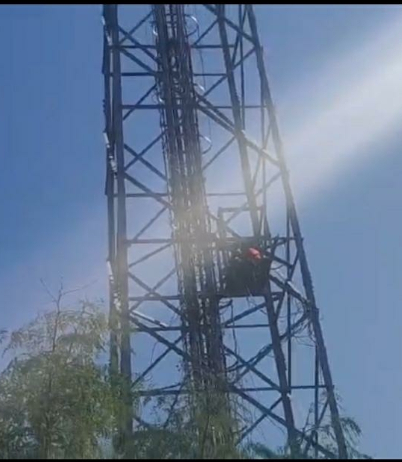 Screenshot_20260117-143547_WhatsAppBusiness