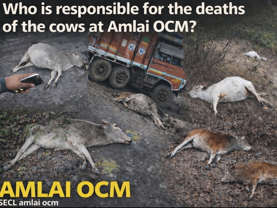 Screenshot_20260130-231224_Gallery