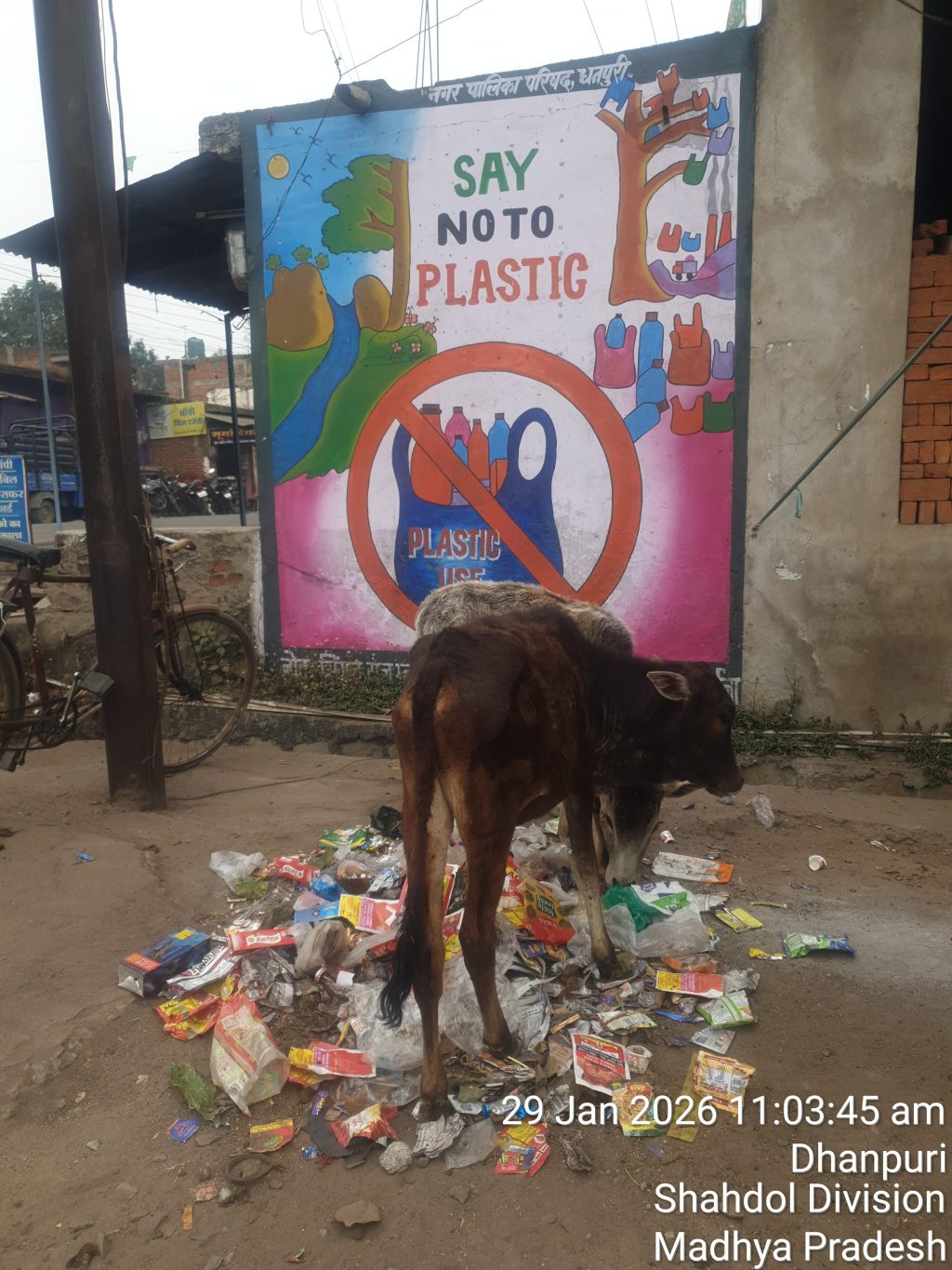 TimePhoto_20260129_110345