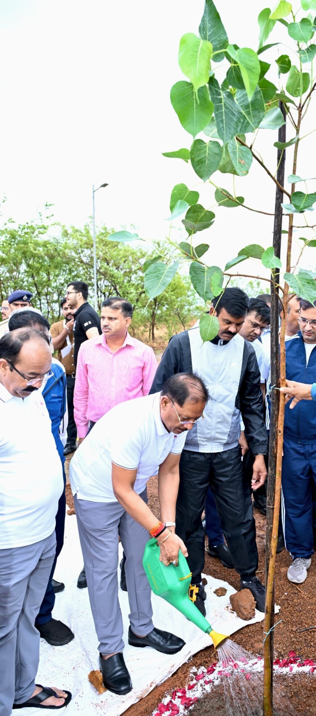 IMG-20260705-WA0052