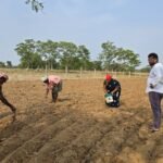 सफलता की कहानी,किसानों ने अपनाया लाभकारी फसलों का विकल्पहो रहा है, किसानों की आमदनी में इजाफा