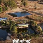 खेत बना आय का केंद्र, नवाचार ने बदली खेती की तस्वीर